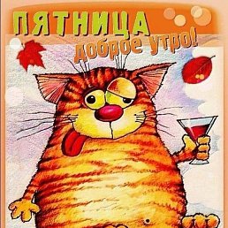 �� ����, ���������, 43 ����