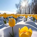 ���� �������, ��������, 43 ���� - ��������� 6 ����� 2023 � ������ ������ ��������