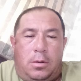 �����, ������, 46 ���