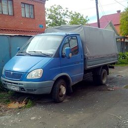 �����, ������, 51 ���