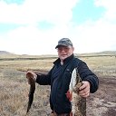 ���� ������, ����������, 41 ��� - ��������� 20 ������� 2023