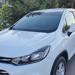 ������, �����, 41 ���