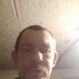 ������, ������, 50 ���