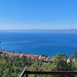 Daniel, ������, 38 ���