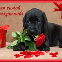 ���� ������, ������, 43 ���� - ��������� 25 ���� 2023 � ������ ���� ����������