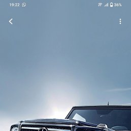 Gigy, ������, 34 ����