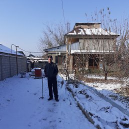 �������, ������, 43 ����