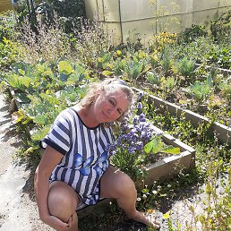 �����, ������, 60 ���