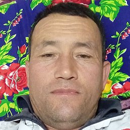 �������, �����, 51 ���