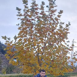 ������, ����, 49 ���