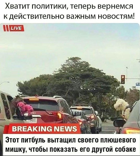 ������ �������