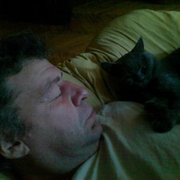 ������, ������, 60 ���