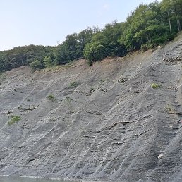 ����, ������, 40 ���