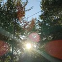 ���� ���������, ������������, 42 ���� - ��������� 2 ������� 2023 � ������ ���� ����������