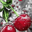  Aydin, , 59  -  26  2023    