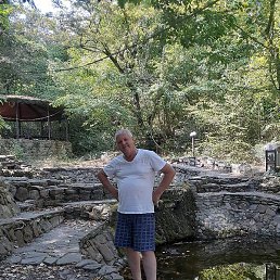 ��������, ���������, 65 ���