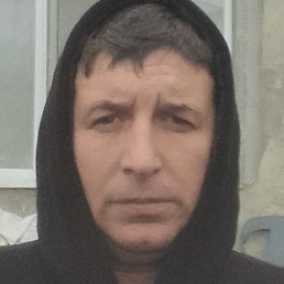 Liolik, �������, 46 ���