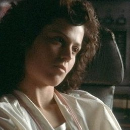 �����, �����-���������, 23 ����