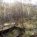 ���� ���������, ����������, 70 ��� - ��������� 19 ���� 2023