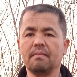 �����, ������, 46 ���