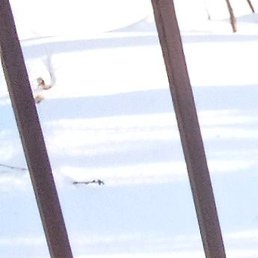 ������, ������, 39 ���