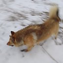 ���� �����, ������� - ��������� 16 ���� 2023 � ������ ���� ����������