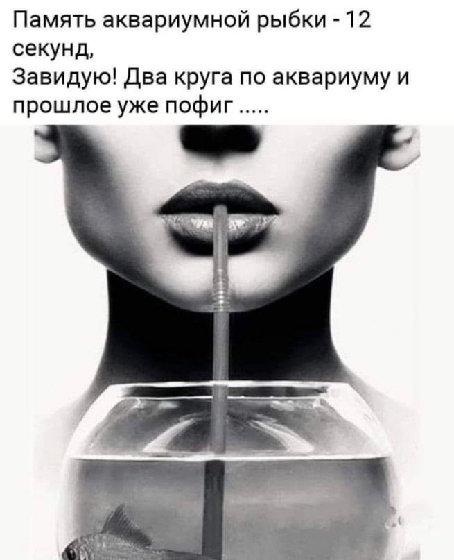   - 11  2023  22:19