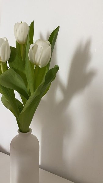    - 1  2023  07:59 - 5