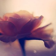 Sabina, 36 лет, Скрытенбург Sabina, 36 лет, Скрытенбург