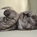 ���� �����, ������������ - ��������� 15 ���� 2023 � ������ ���� ����������