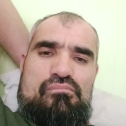 ����, �����-���������, 43 ����