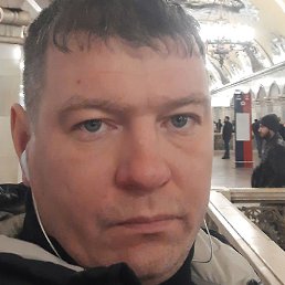 ������, ��������, 41 ���