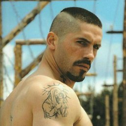 Gocha, �������, 47 ���