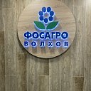 ���� �������, �����-���������, 45 ��� - ��������� 19 ������� 2023 � ������ �������