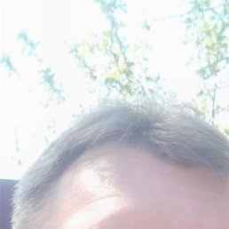 ������, ����, 46 ���