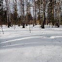 ���� �����, ����������, 38 ��� - ��������� 23 ���� 2023