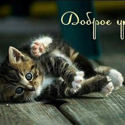 ������, ������, 45 ���