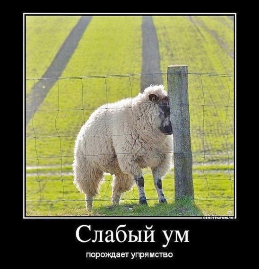 -  ?   ,  !     , -  ...