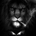 ���� Marco, ������, 49 ��� - ��������� 3 �������� 2023