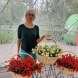 ���� ������, �����������, 66 ��� - ��������� 2 ����� 2023