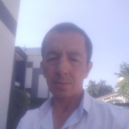 �������, �������, 58 ���