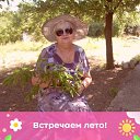 ���� ������, ��������, 71 ��� - ��������� 22 ��� 2023