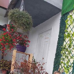 ����, ������, 49 ���