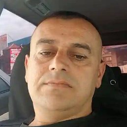 ����, �����-���������, 44 ����