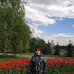 �����, ������, 67 ���