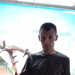 ���� ������, ������������, 42 ���� - ��������� 6 �������� 2023