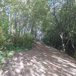 ��������, ������, 36 ���