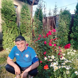 ���� �����, �����-���������, 53 ���� - ��������� 24 ���� 2023