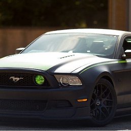 �������, ���������, 46 ���