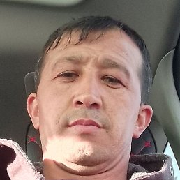 �������, �����, 41 ���